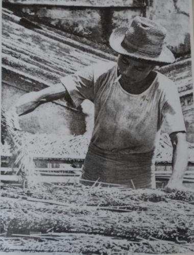 五、六十年代，手工業蓬勃，輕工業未艾